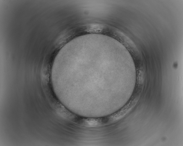 X0000116560370201001211228