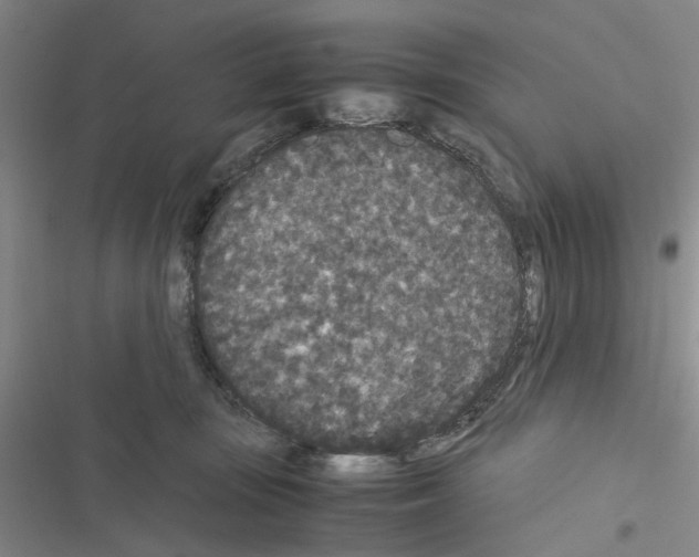 X0000116560371201001211228