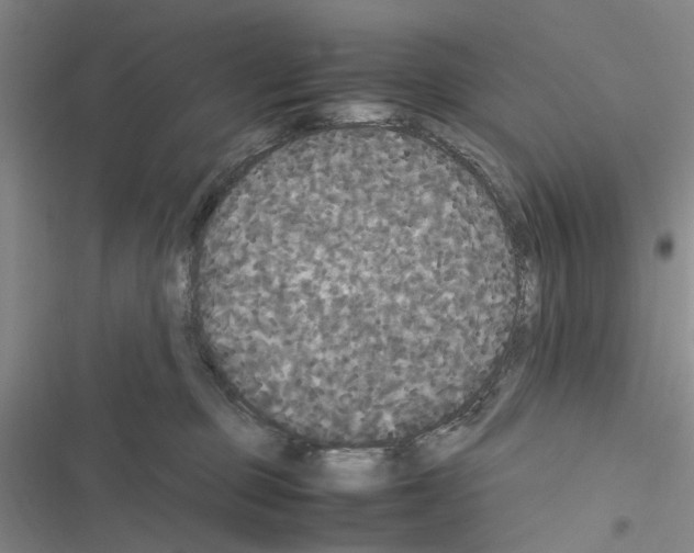 X0000116560373201001211228