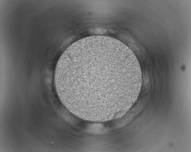 X0000116560374201001211228