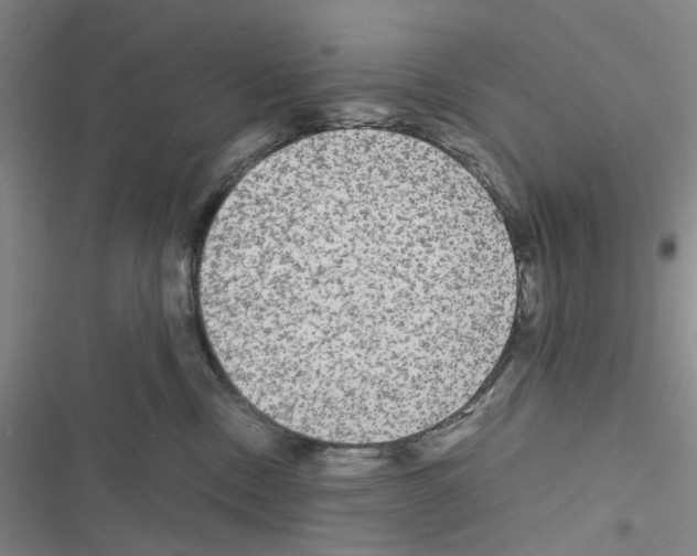 X0000116560378201001211228