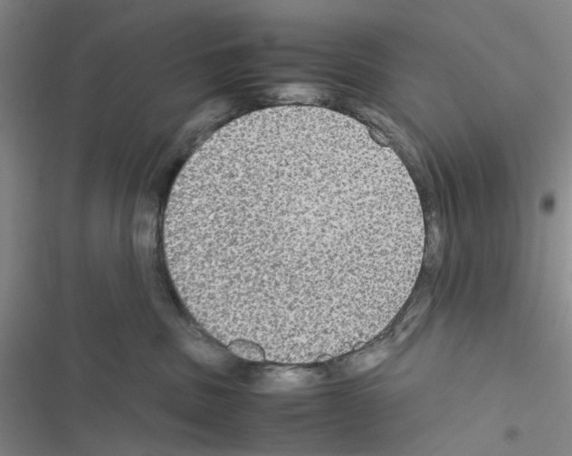 X0000116560379201001211228