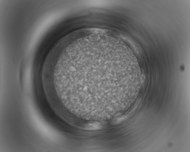 X0000116560381201001211228