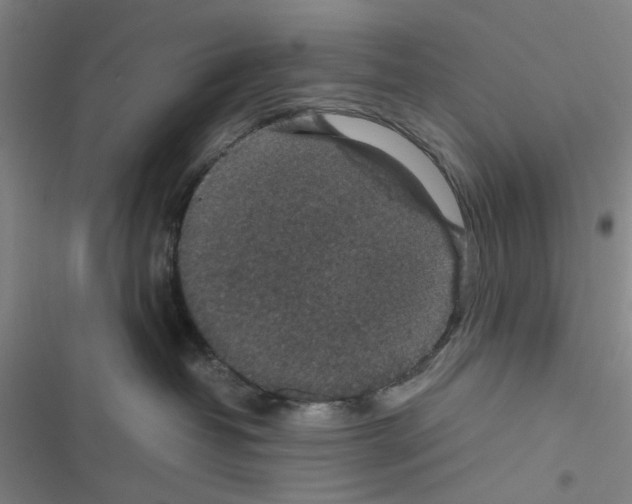 X0000116560382201001211228