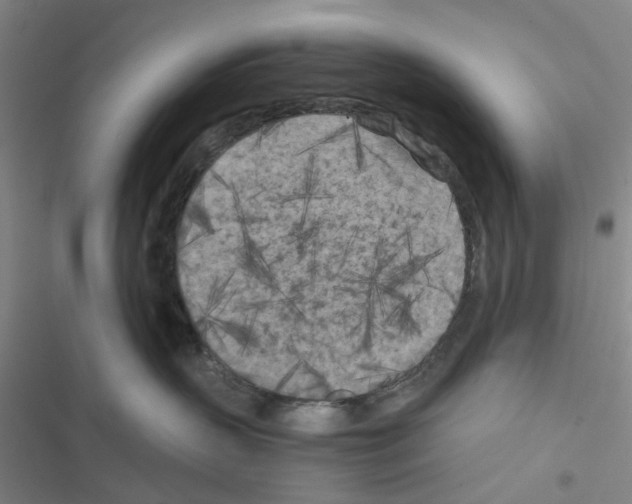 X0000116560383201001211228
