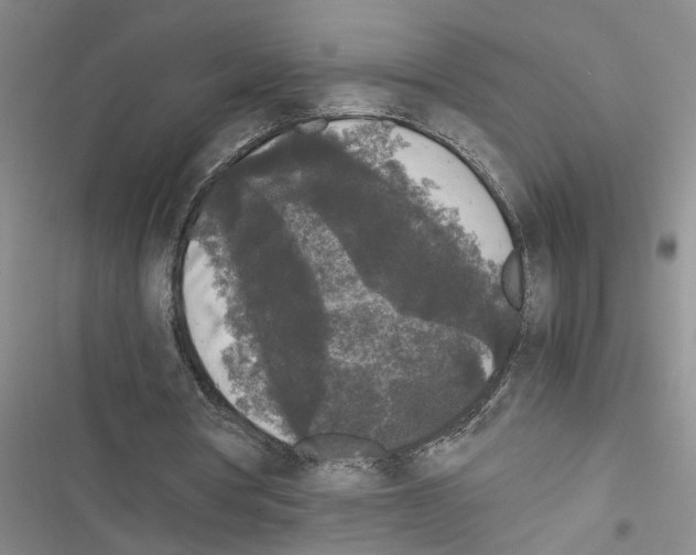 X0000116560386201001211227