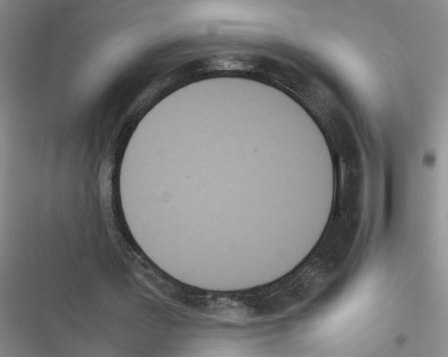 X0000116560387201001211227