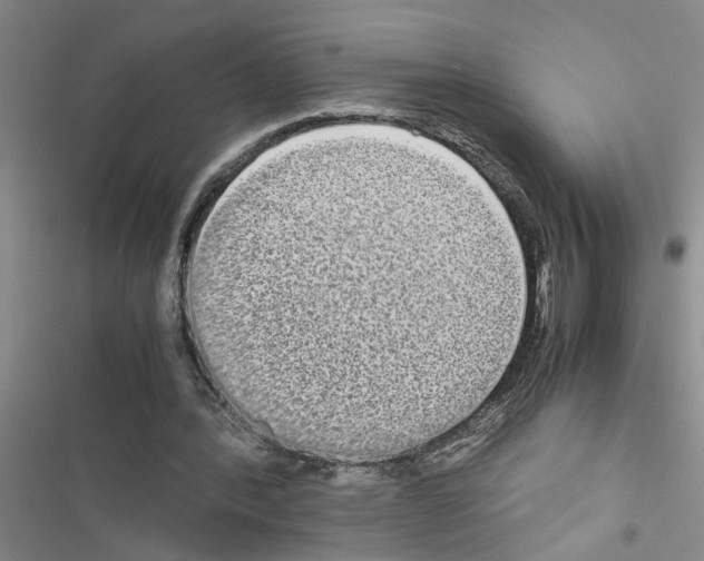 X0000116560388201001211227