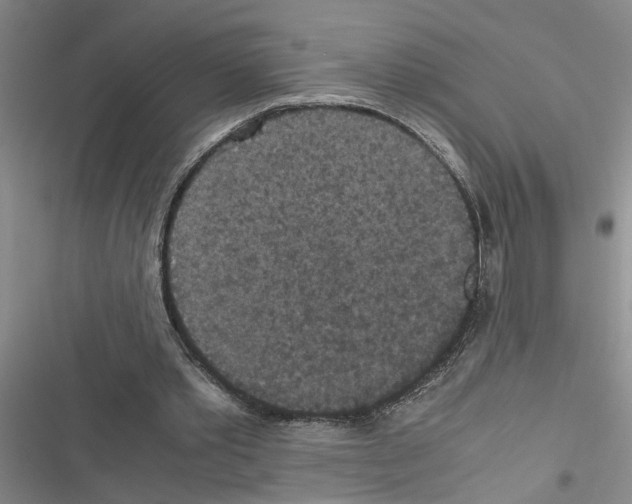 X0000116560389201001211227