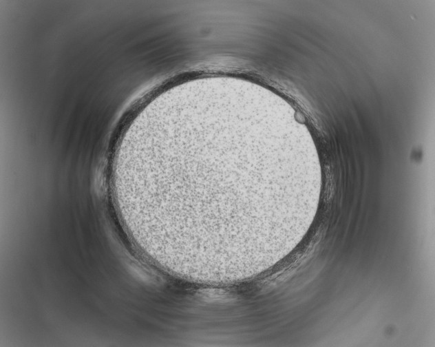 X0000116560392201001211227