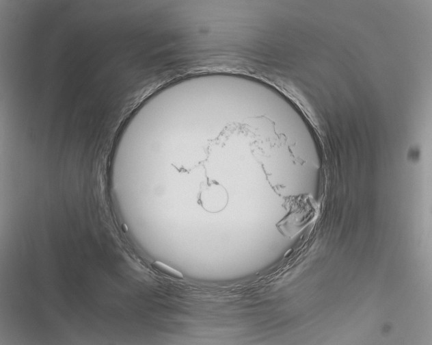 X0000116560393201001211227