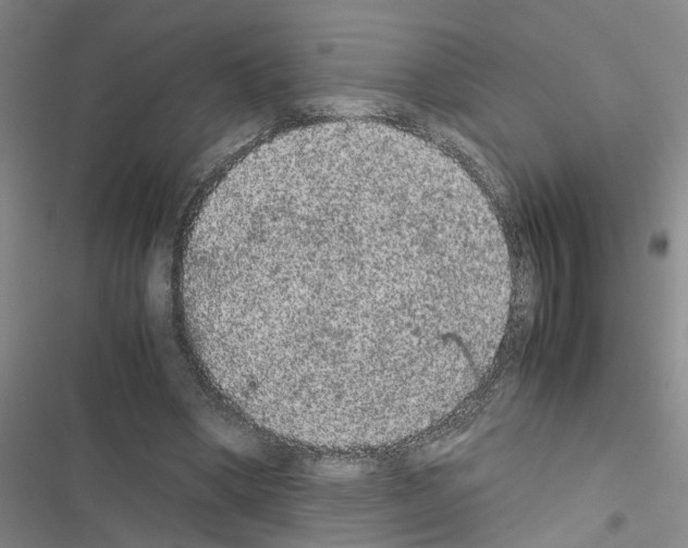 X0000116560394201001211227