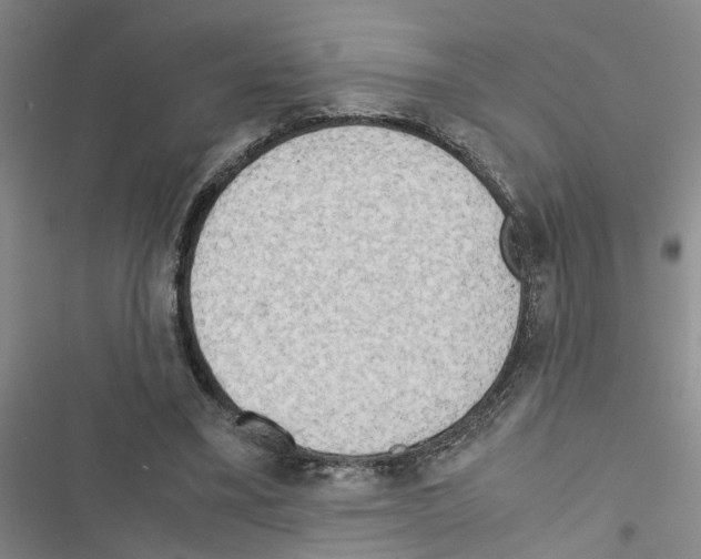 X0000116560395201001211227