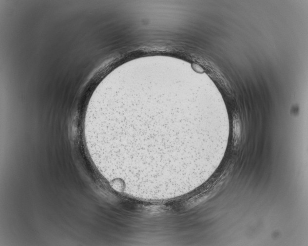 X0000116560396201001211227