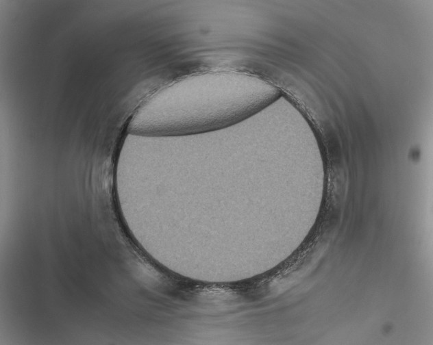 X0000116560397201001211227