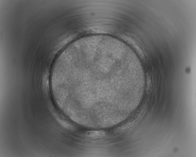 X0000116560398201001211227