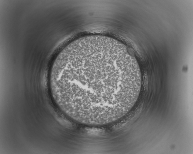 X0000116560400201001211227