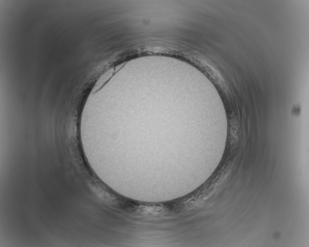 X0000116560401201001211227