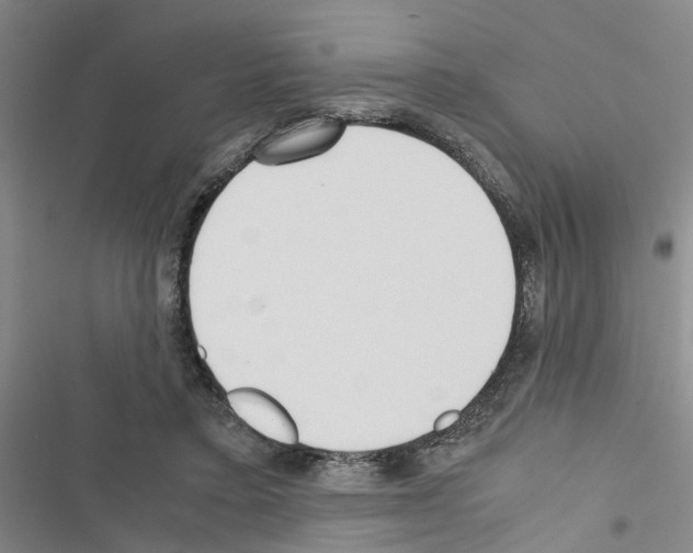 X0000116560403201001211227