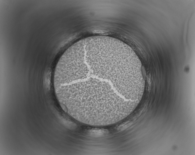 X0000116560404201001211227