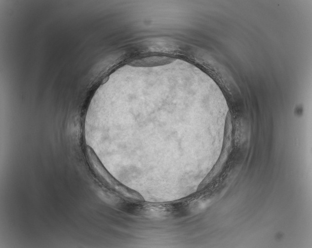 X0000116560405201001211227