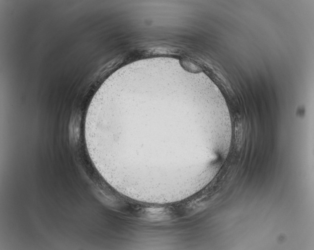 X0000116560406201001211227