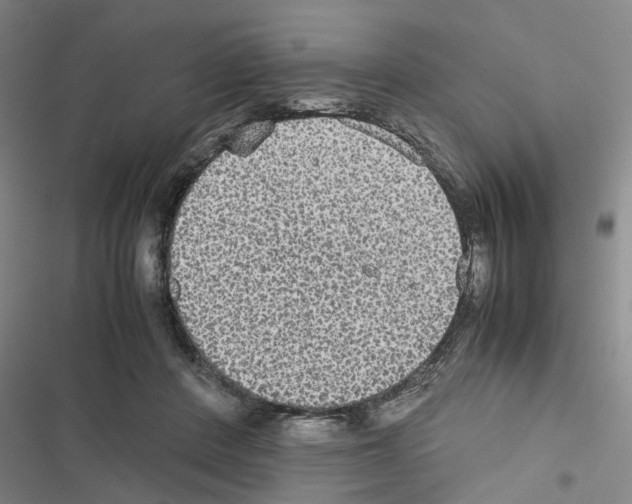 X0000116560408201001211227