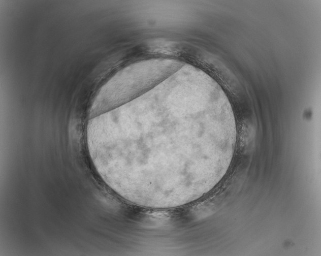 X0000116560409201001211227