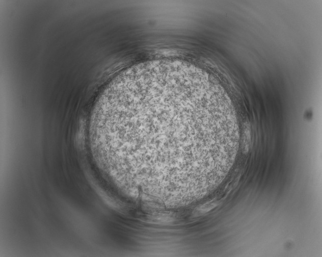 X0000116560410201001211227