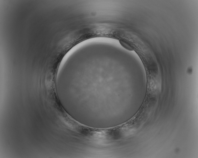 X0000116560411201001211227