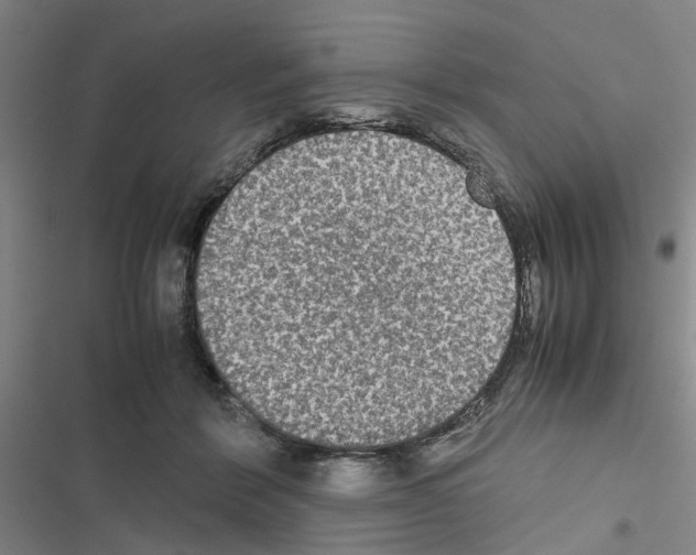 X0000116560412201001211227