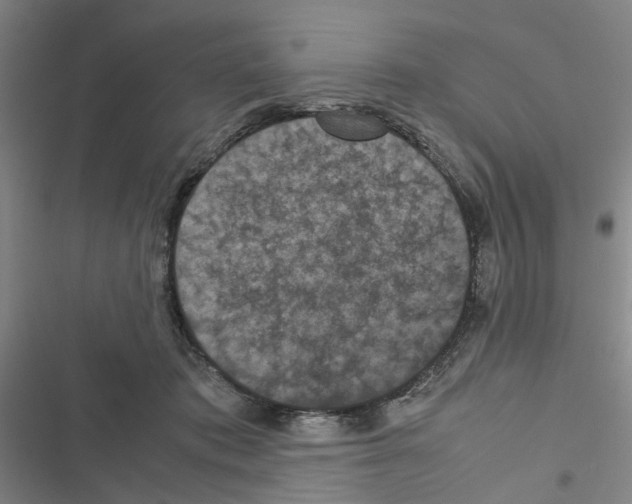X0000116560413201001211227