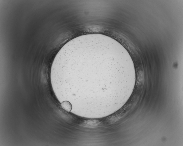 X0000116560414201001211227