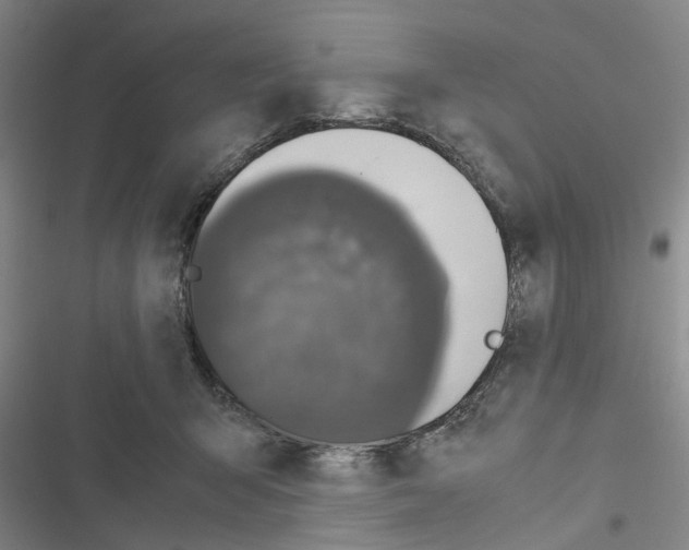 X0000116560415201001211227