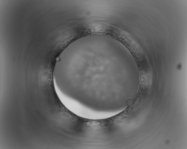 X0000116560419201001211227