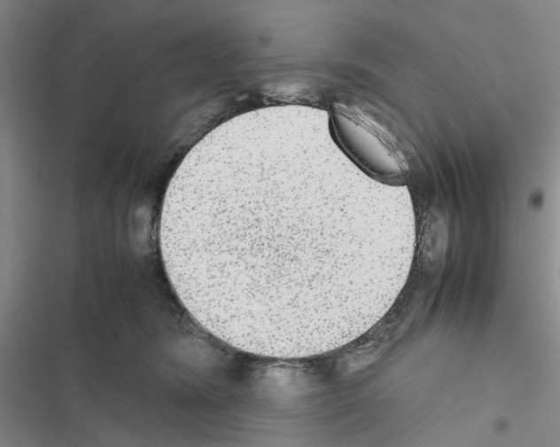 X0000116560420201001211227