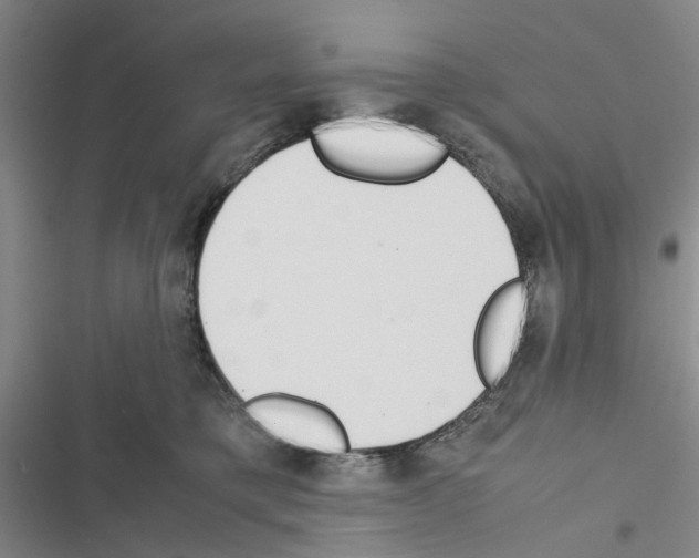 X0000116560421201001211227