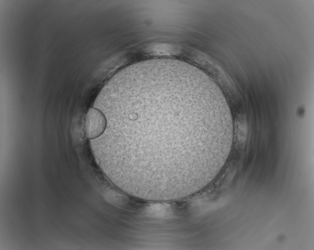 X0000116560422201001211227