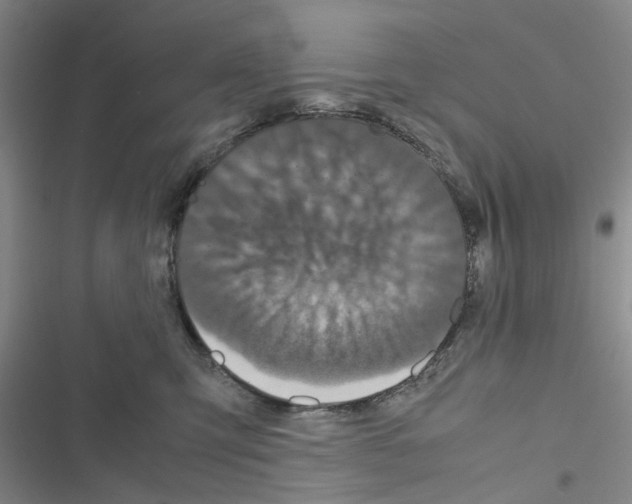 X0000116560423201001211227