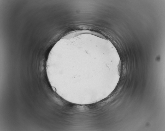 X0000116560424201001211227