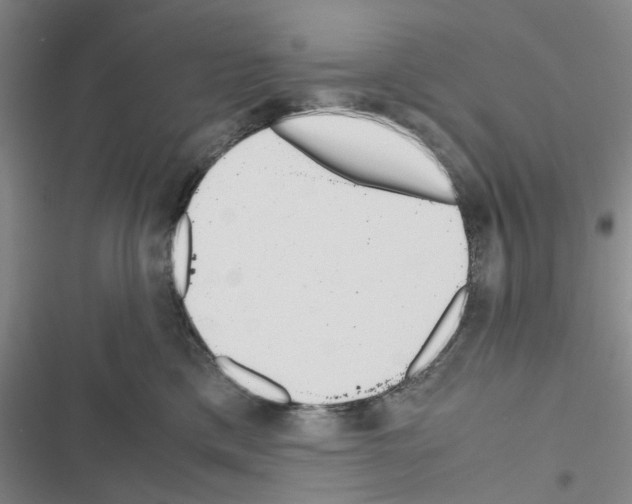 X0000116560425201001211227
