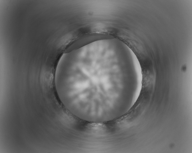 X0000116560427201001211226