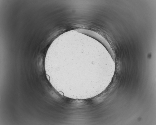 X0000116560428201001211226