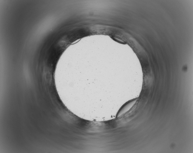 X0000116560429201001211226
