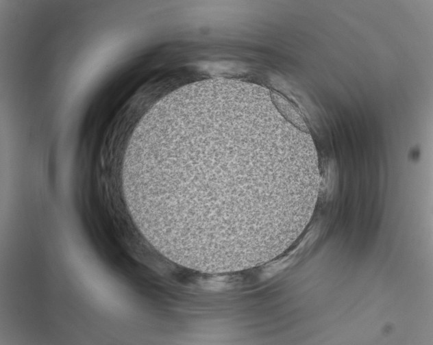 X0000116560430201001211226