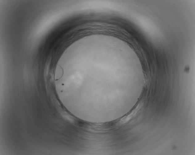 X0000116560431201001211226
