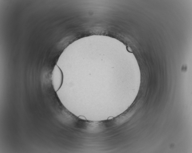 X0000116560432201001211226