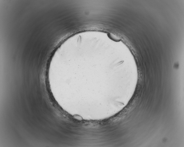 X0000116560434201001211226