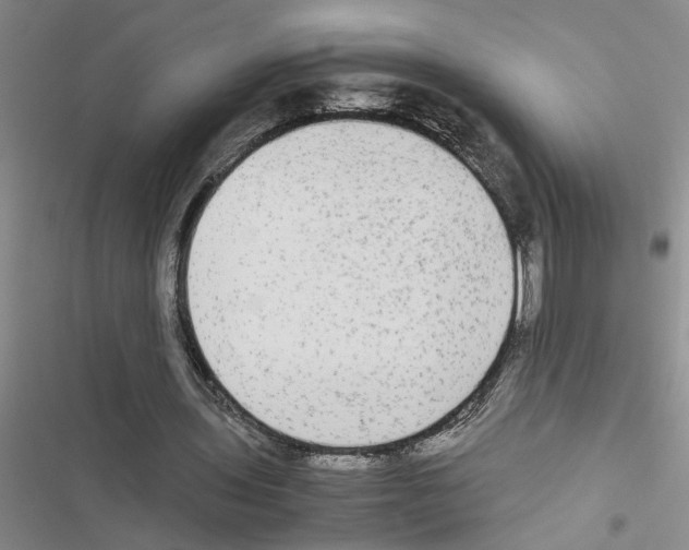X0000116560435201001211226
