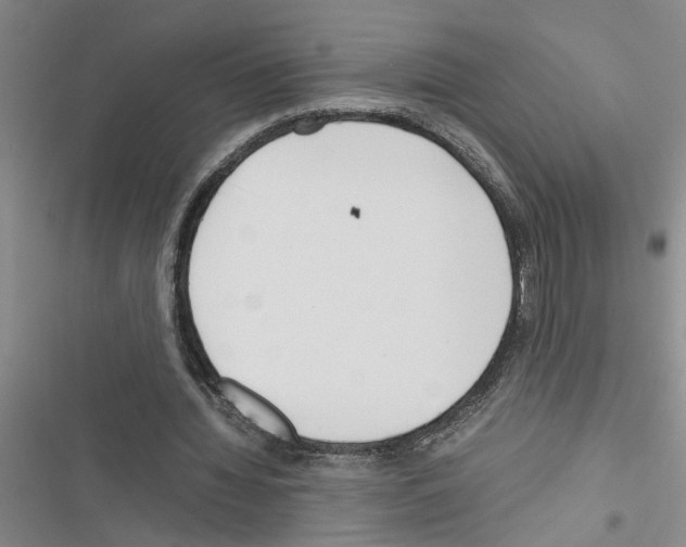 X0000116560436201001211226
